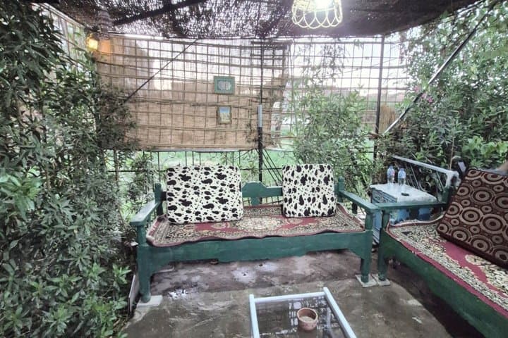 Open-Air Farm Luxor Lunch or Dinner Experience in a Green