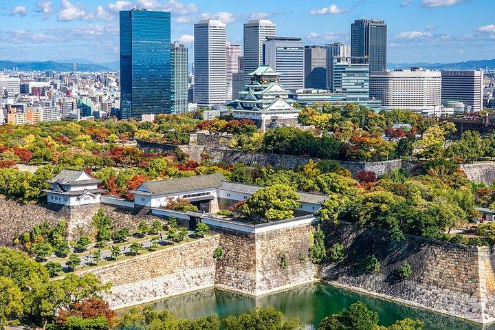 大阪城の寺院と浮世絵を巡る 1 日ウォーキング ツアー