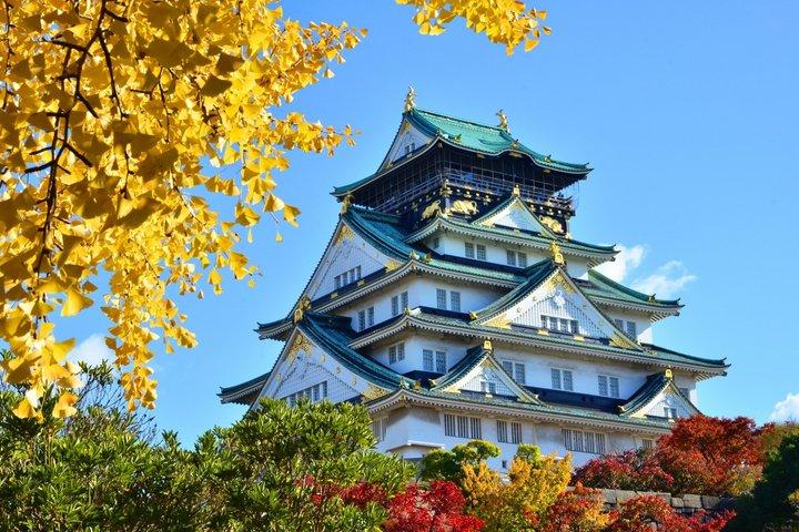 Tour a pie de día completo por los templos del castillo de Osaka y Ukiyoe
