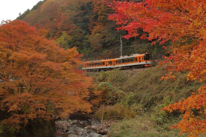 Hike and explore the Kurama and Kibune ancient Paths