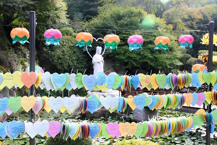 Nami Island og Baekryun Temple Erfaringstur fra Seoul