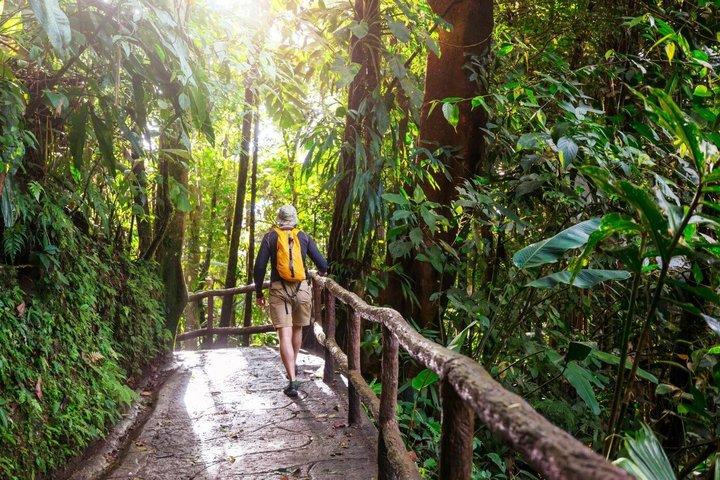 Khao Yai National Park and Waterfalls Tour from Bangkok