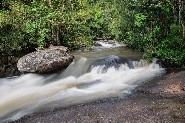 Tour al Parque Nacional Khao Yai y Cascadas desde Bangkok