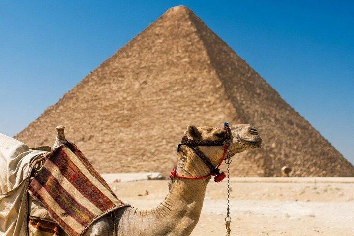 Excursion d'une journée complète de Hurghada au Caire Pyramides & Musée