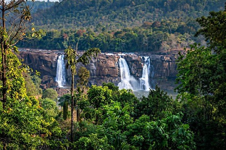Best of Kerala: 8-Day Private Tour with Hotel & Houseboat Stay