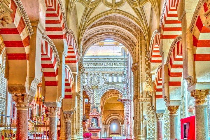 10-Day Guided Tour Morocco and Andalusia from Madrid