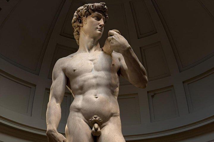 Accademia Gallery : Priority Ticket om de General Line over te slaan !
