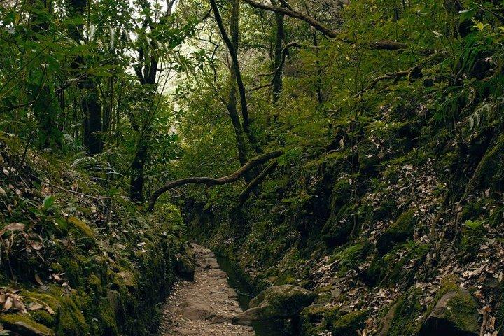 Madeira Levada Paradise Valley