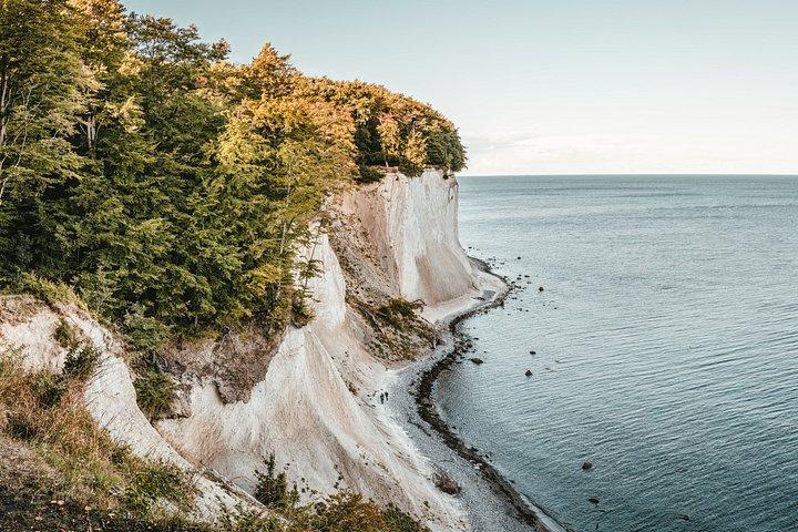 Excursion d'une journée à Møns Klint Cliffs & Forest Tower au départ de Copenhague