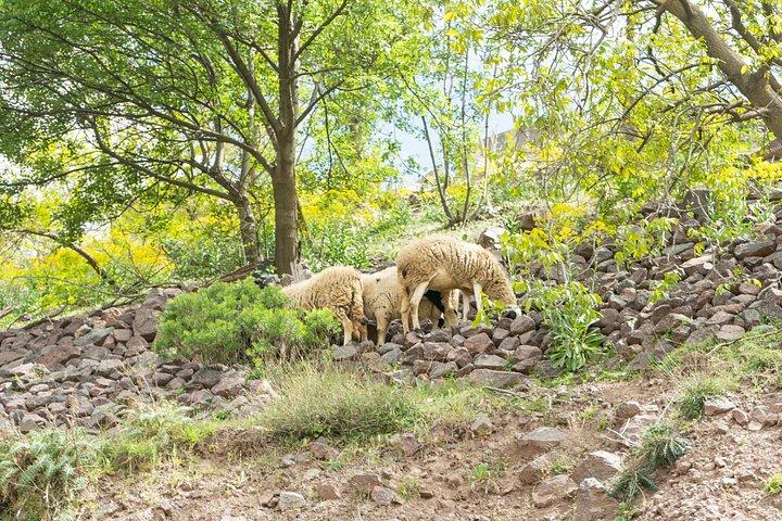 Marrakech: Atlas Mountains, 4 Valleys & Waterfall Guided Day Trip