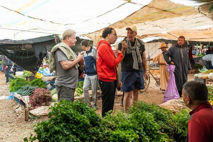 Marrakech: Atlas Mountains, 4 Valleys & Waterfall Guided Day Trip