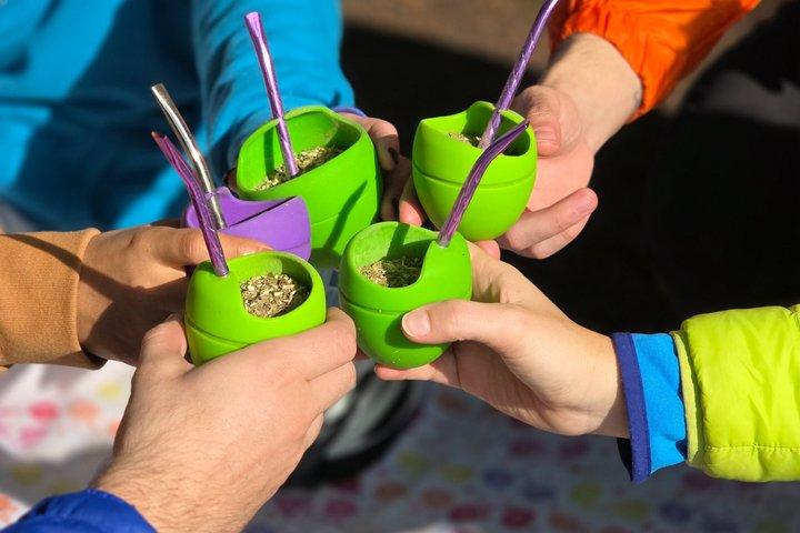 電動自転車で行くグリーンブエノスアイレス - パレルモとレコレタツアー