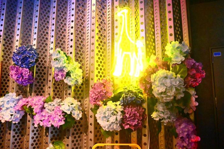 大阪道頓堀：キリンナイトクラブVIPパッケージ（外国人向け）