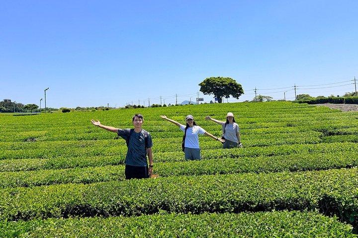 From Seogwipo: Jeju East Day Tour with UNESCO Site & Haenyeo Show