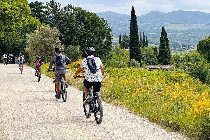 電動自転車ツアー：キャンティ、そのワインと城を探索