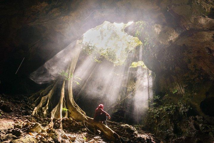 バリ島ヒドゥンキャニオンの滝と寺院1日ツアー（ランチ付き）