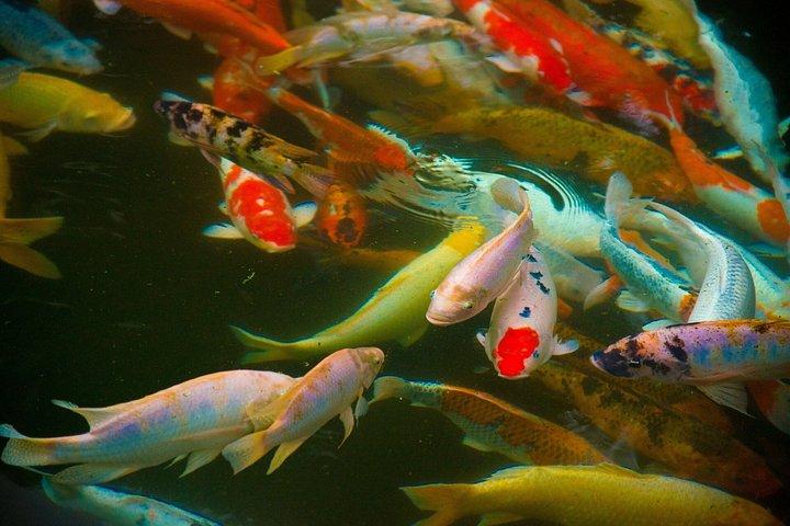 バリ島ヒドゥンキャニオンの滝と寺院1日ツアー（ランチ付き）