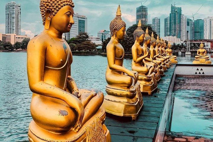 コロンボ市内を巡るジップラインアドベンチャー
