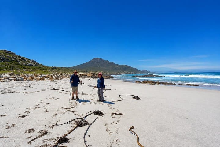 Hiking Cape of Good hope, Cape Point & Penguins Private Full Day