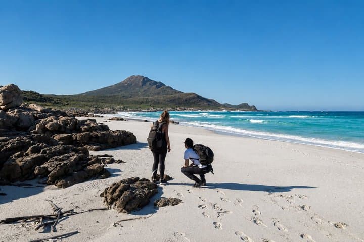 Hiking Cape of Good hope, Cape Point & Penguins Private Full Day