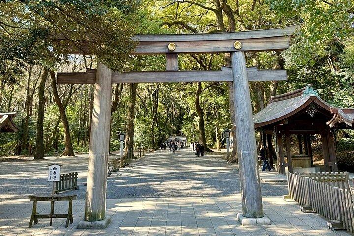 横浜港東京港ショアエクスカーション東京シティプライベートツアー