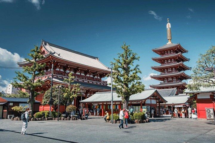 横浜港東京港ショアエクスカーション東京シティプライベートツアー