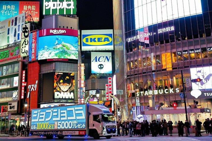 横浜港東京港ショアエクスカーション東京シティプライベートツアー