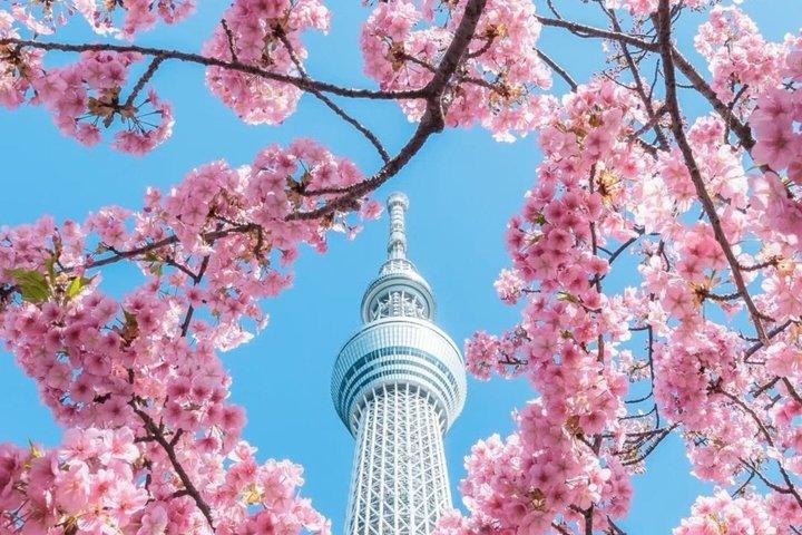 東京プライベートハイライト英語ドライバー付きカスタマイズツアー