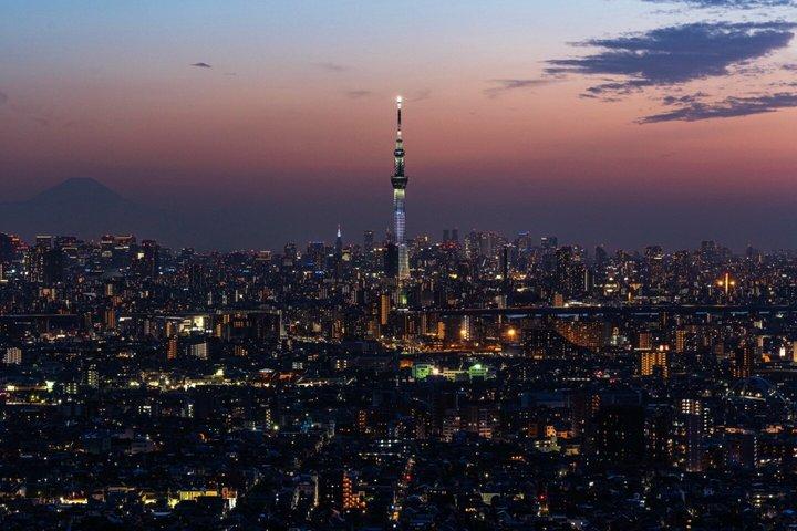 横浜港東京港ショアエクスカーション東京シティプライベートツアー