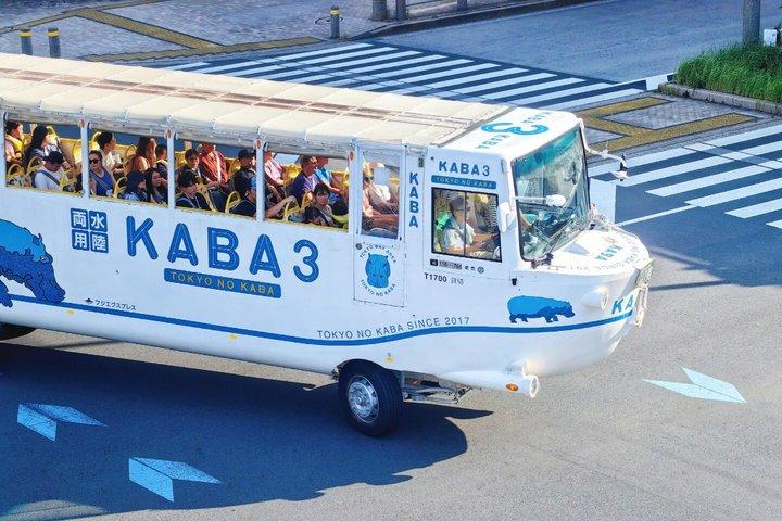 東京プライベートハイライト英語ドライバー付きカスタマイズツアー