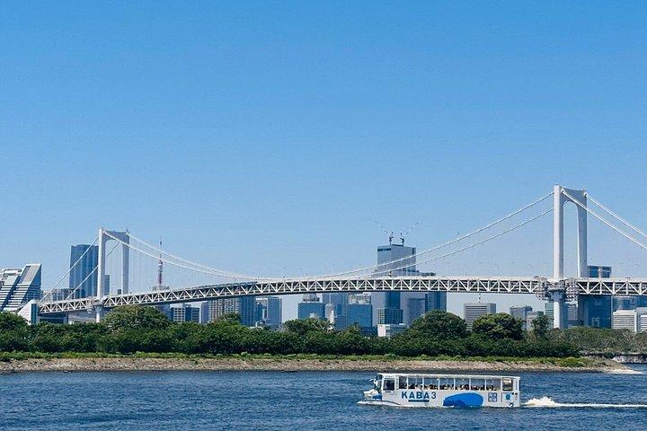 横浜港東京港ショアエクスカーション東京シティプライベートツアー