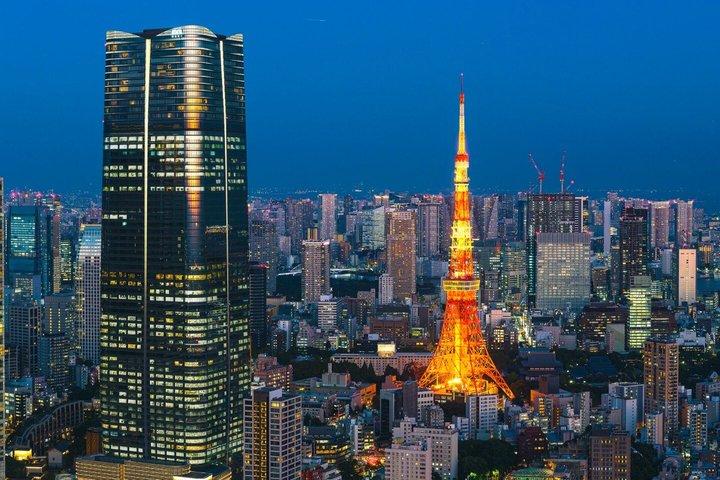 Tokyo Private Highlights Tour personalizável com motorista Inglês
