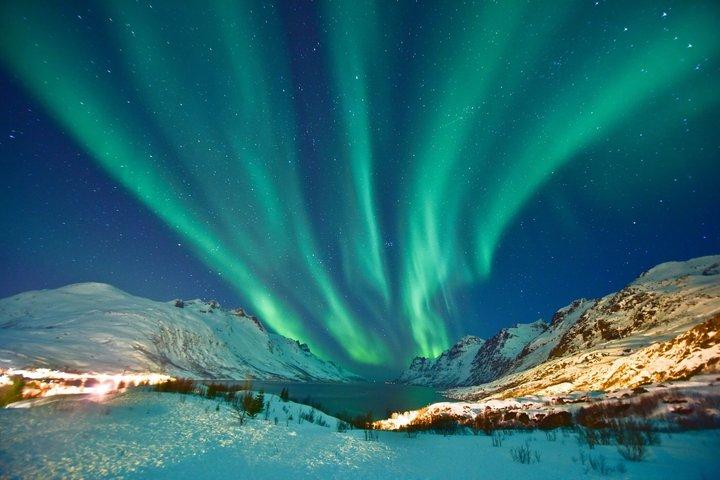 Narvik: Northern Lights Tour with Bus