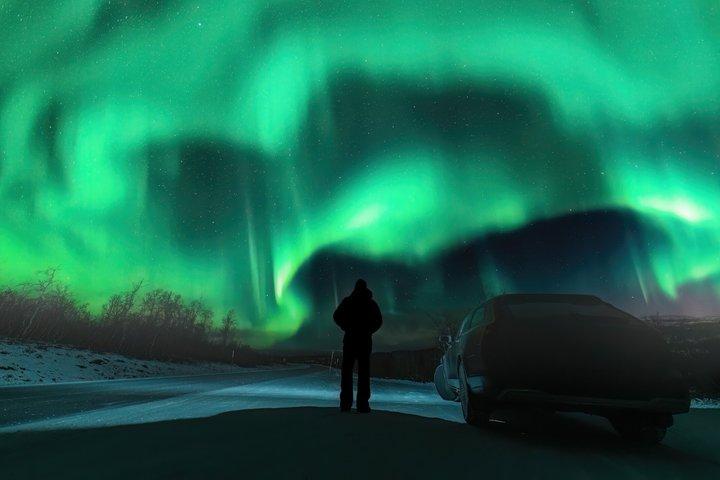 Narvik : Tour en aurora boreal con autobús