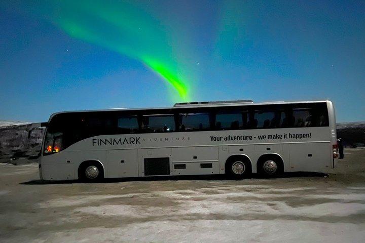 Narvik : Tour en aurora boreal con autobús