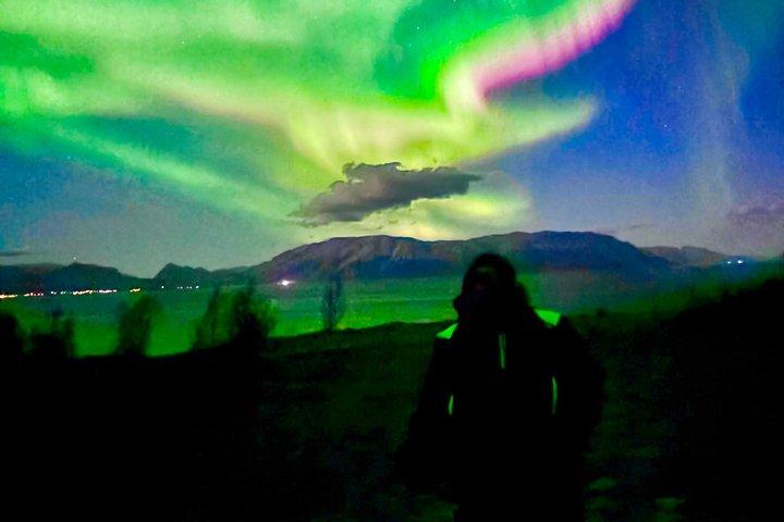 Narvik : Tour en aurora boreal con autobús