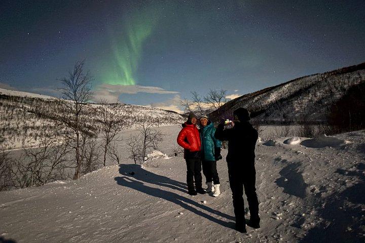 Narvik: Nordlys tur med bus