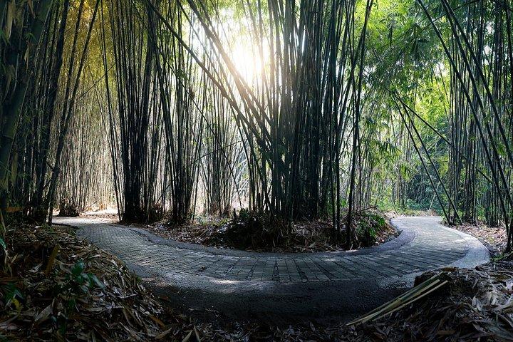 バリ島東部ブサキ寺院とエコビレッジプライベートツアー