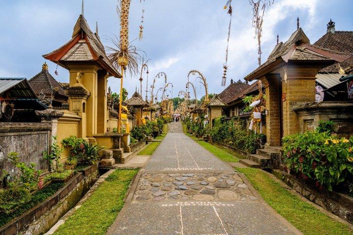 バリ島東部ブサキ寺院とエコビレッジプライベートツアー