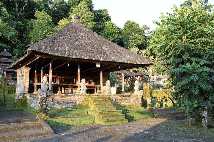 バリ島東部ブサキ寺院とエコビレッジプライベートツアー