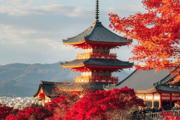 Kyoto Sakura Boots- und Saisonautotour