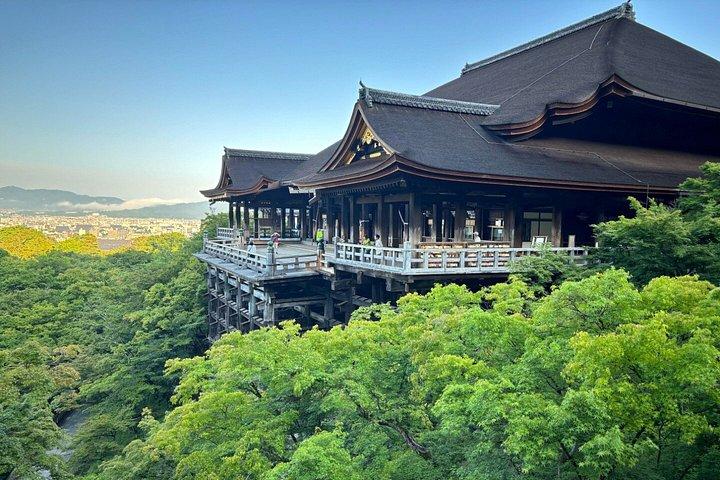 Kyoto Sakura Boots- und Saisonautotour