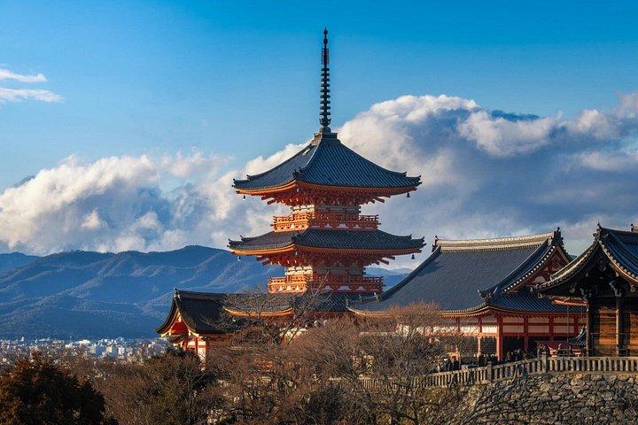 Kyoto Sakura Boots- und Saisonautotour