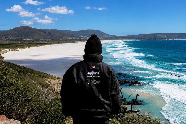 Tour privée Cap de Bonne-Espérance, Cape Point et des manchots.