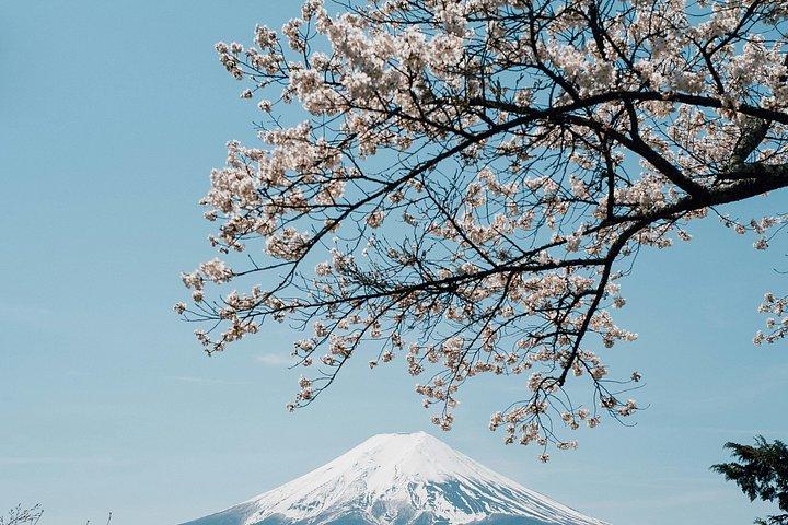英語ドライバー付き東京発富士山プライベートツアー
