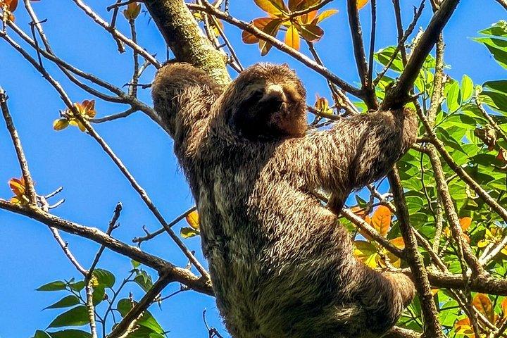 ペドラ・ボニタ：リオの最高の景色、自然とアドベンチャー