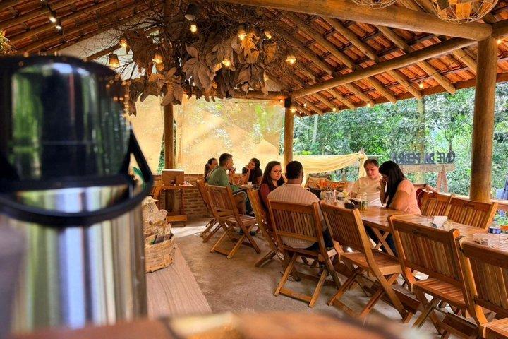 Rio Nature Experience : Tijuca Forest, Mirantes e Vida Selvagem（リオ自然体験：ティジュカの森、ミランテス・エ・ヴィーダ・セルベージェム）