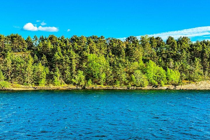 Visite privée d'Oslo 4 heures d'aventure