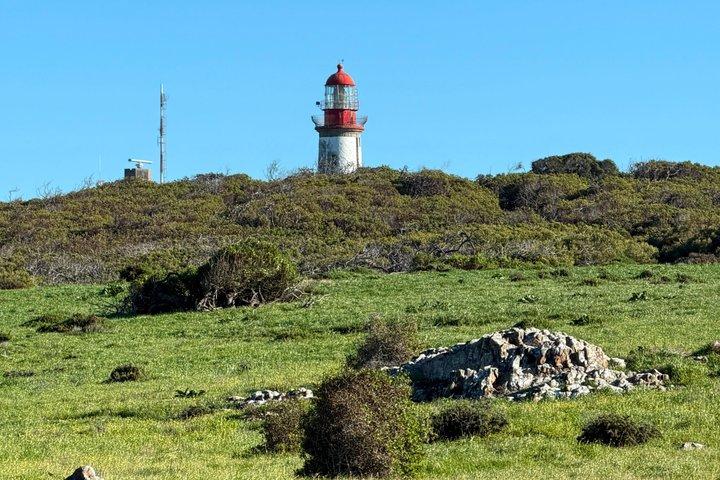 Robben Island Pre-Booked Ferry Ticket & Ex prisoner Guided