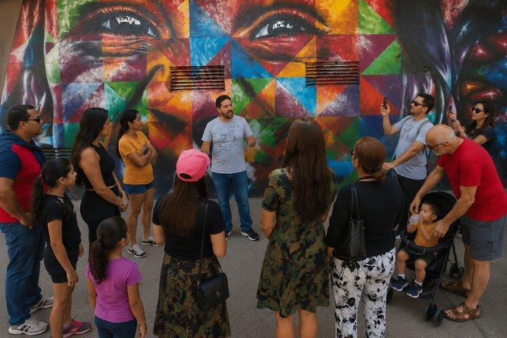 5-timers privat gadekunst-tur i São Paulo – De fedeste bykunstscener